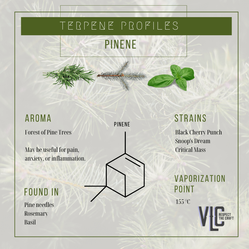 Pinene - Vigr Life Cannabis